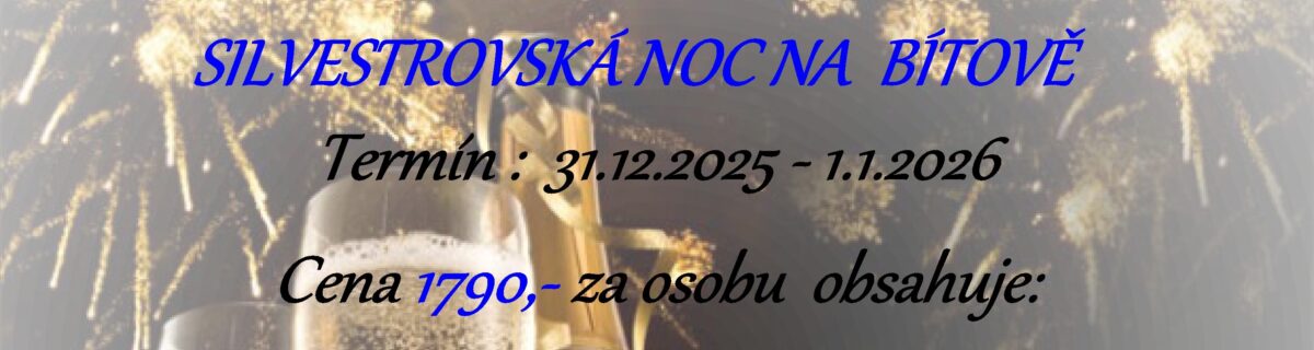 Sivestr noc 25 baner 1200x320 - Silvestrovsk&aacute; noc na B&iacute;tově